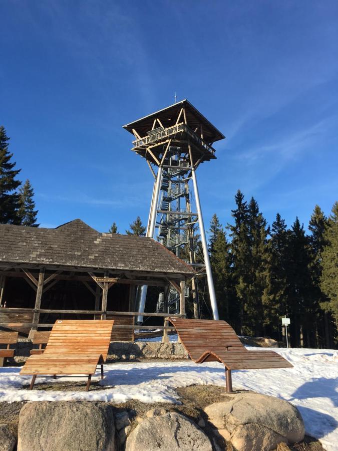 Апартаменты Schwarzwaldglueck Шлухзее Экстерьер фото